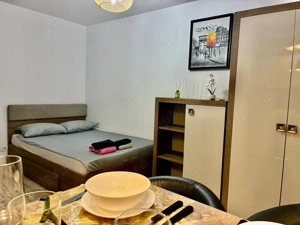 Garsoniera regim hotelier-Alba Iulia - imagine 7