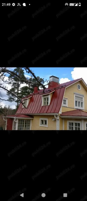 pro acoperis profionist 