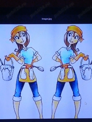 Curățenie la domiciliu 