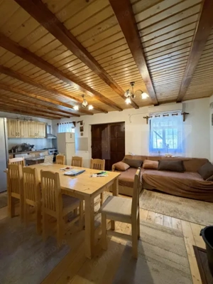 Casa de vacanca cu potential turistic, 1603 mp teren, Cernatesti - imagine 8