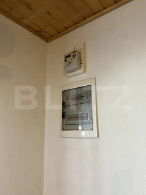 Casa de vacanca cu potential turistic, 1603 mp teren, Cernatesti - imagine 13