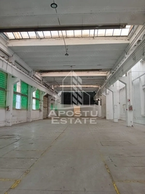 Hala Industriala, Sanicolau Mic