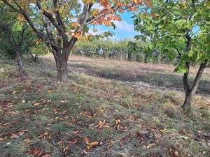 Vând Teren Horlesti-Rediu