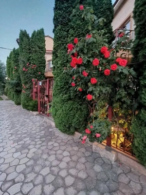 Pensiune vanzare Eforie Nord - imagine 2