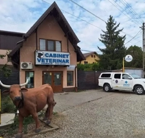 Cabinet veterinar Paulesti Vet angajează ASISTENT VETERINAR in Com Paulesti, jud Prahova