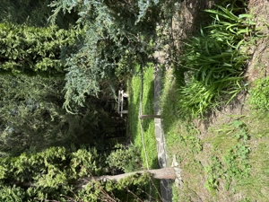 Închiriere complex turistic  - imagine 2