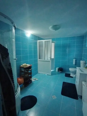 Casa P+1+M, 185 mp, teren 590 mp, Leamna de jos - imagine 17