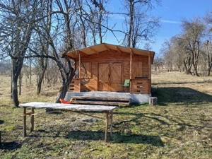 Teren intravilat Khidea - imagine 2