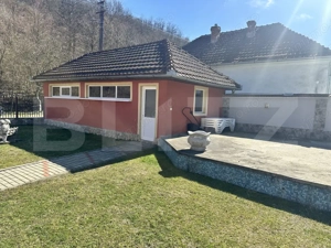 Casă cu piscină și teren generos de 3.298 mp în Lesnic, la 15 minute de Deva - imagine 14