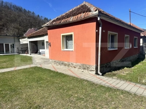 Casă cu piscină și teren generos de 3.298 mp în Lesnic, la 15 minute de Deva - imagine 15