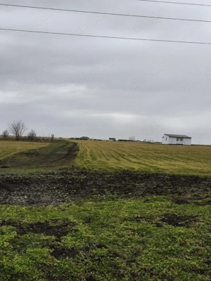 Proprietar teren intravilan in Costinești 400mp - imagine 5