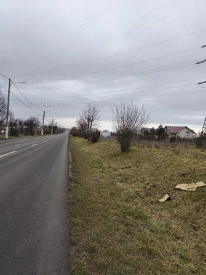 Proprietar teren intravilan in Costinești 400mp - imagine 7