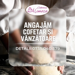 Angajam vanzatoare si cofetar pentru locatia din Lipovei Timisoara 
