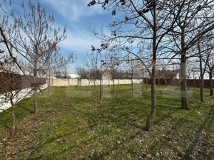 Casă parter cu terasă generoasă, teren 1267 mp,  Preajba-zona Damila - imagine 3