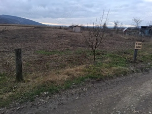Vand teren intravilan 1400 mp în loc. Livada - imagine 4