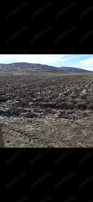 Vand teren intravilan 1400 mp în loc. Livada - imagine 5