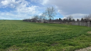 Teren de vânzare, în Lețcani!