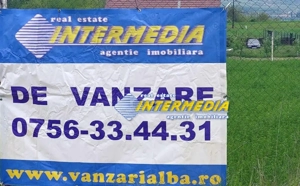 Cabana cu 900mp teren de vanzare Lunca Ampoitei, Alba - imagine 1