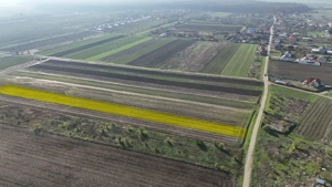 Teren 10.000 mp, parcelabil, ideal ansamblu case P+1 | Gulia - Dambovita - imagine 4