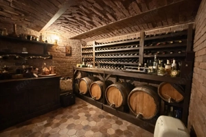 Vilă ultracentrală cu piscină interioară, saună și cramă | Unirii - imagine 6