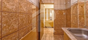 Oportunitate unica in Prelungirea Ferentari - imagine 10