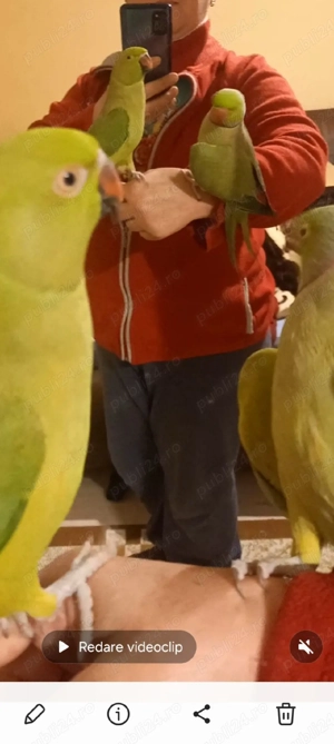 Marele si micul alexandru - imagine 4