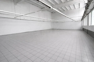 HALA PRODUCTIE/DEPOZITARE/BARIERA BUCURESTI - imagine 5