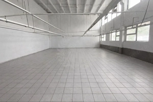 HALA PRODUCTIE/DEPOZITARE/BARIERA BUCURESTI - imagine 7