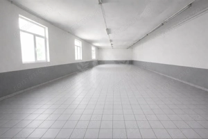 HALA PRODUCTIE/DEPOZITARE/BARIERA BUCURESTI - imagine 9