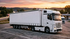 Angajăm șofer profestionist C+E - plata bilunara