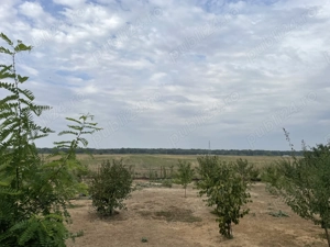 Teren intravilan Ilfov-Periș - 5000 mp - imagine 2