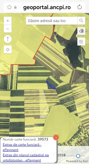 Vand 3 ha teren agricol, jud. Tulcea, com Murighiol - imagine 3