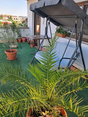 Hotel Regim  - imagine 4