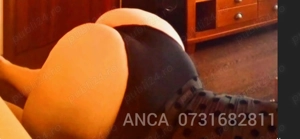 ANCA escortă Băneasa 