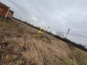 Teren de vanzare Sasar str. Primaverii - imagine 3