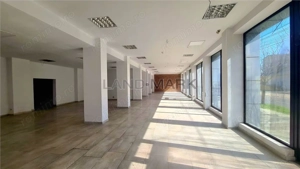 Spatiu de inchiriat, 485 mp Timisoara Sagului - imagine 5