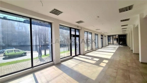 Spatiu de inchiriat, 485 mp Timisoara Sagului - imagine 3