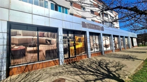 Spatiu de inchiriat, 485 mp Timisoara Sagului - imagine 2