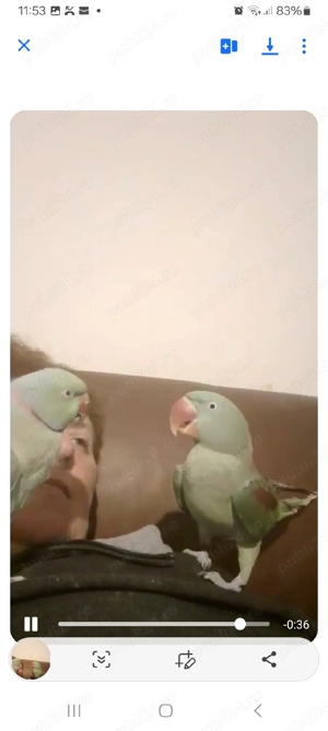 Marele si micul alexandru - imagine 5