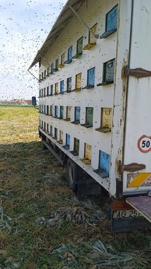 Vând camion omologat apicol, marca Mercedes-Benz - imagine 4