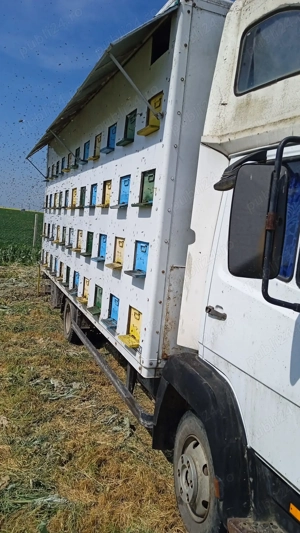 Vând camion omologat apicol, marca Mercedes-Benz - imagine 2