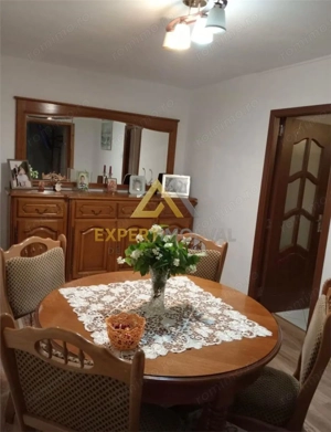 Apartament cu gradina privata str Ghioceilor Baia Mare - imagine 7