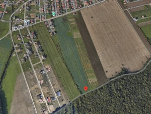 Teren in cartierul Grigorescu langa padure 2000 mp - imagine 3