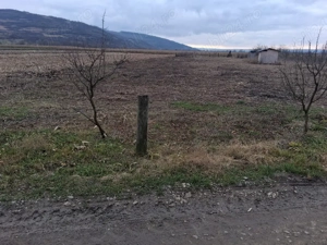 Vând 1400 mp teren intravilan in loc. Livada - imagine 2