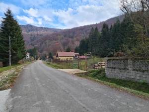 Se vinde VILĂ LA ALB,pretabila pentru inchiriere tip pensiune. - imagine 10