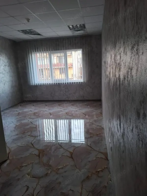 Elisabetin- Spatiu Birouri- 220 mp- Clasa A - imagine 11