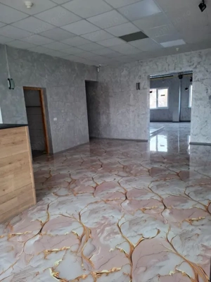 Elisabetin- Spatiu Birouri- 220 mp- Clasa A - imagine 5