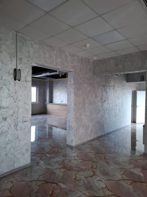 Elisabetin- Spatiu Birouri- 220 mp- Clasa A - imagine 10