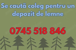 Se caută coleg la un depozit de lemne pentru paleti