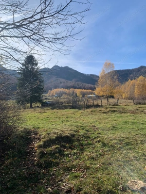 Teren 1000 mp intravilan, Tohanita, jud. Brasov - imagine 5